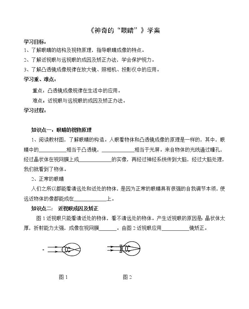 4.6神奇的眼睛 学案第1页