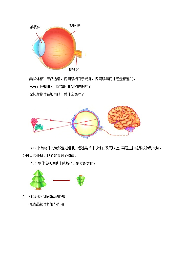 4.6神奇的眼晴 教学设计第3页