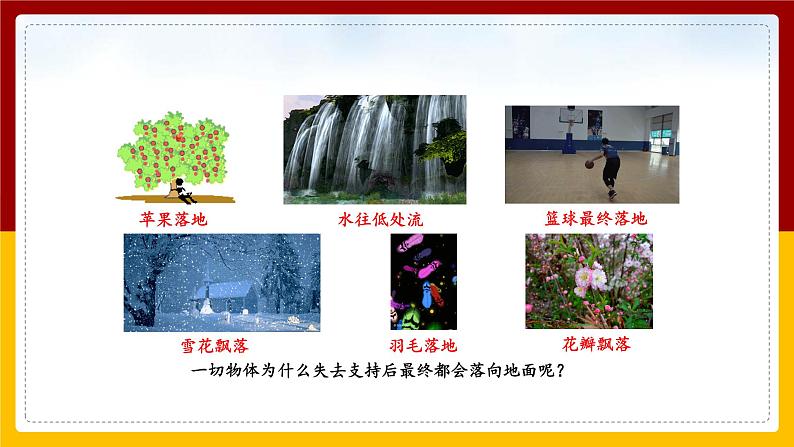 7.3重力（课件+教案+练习+学案）03