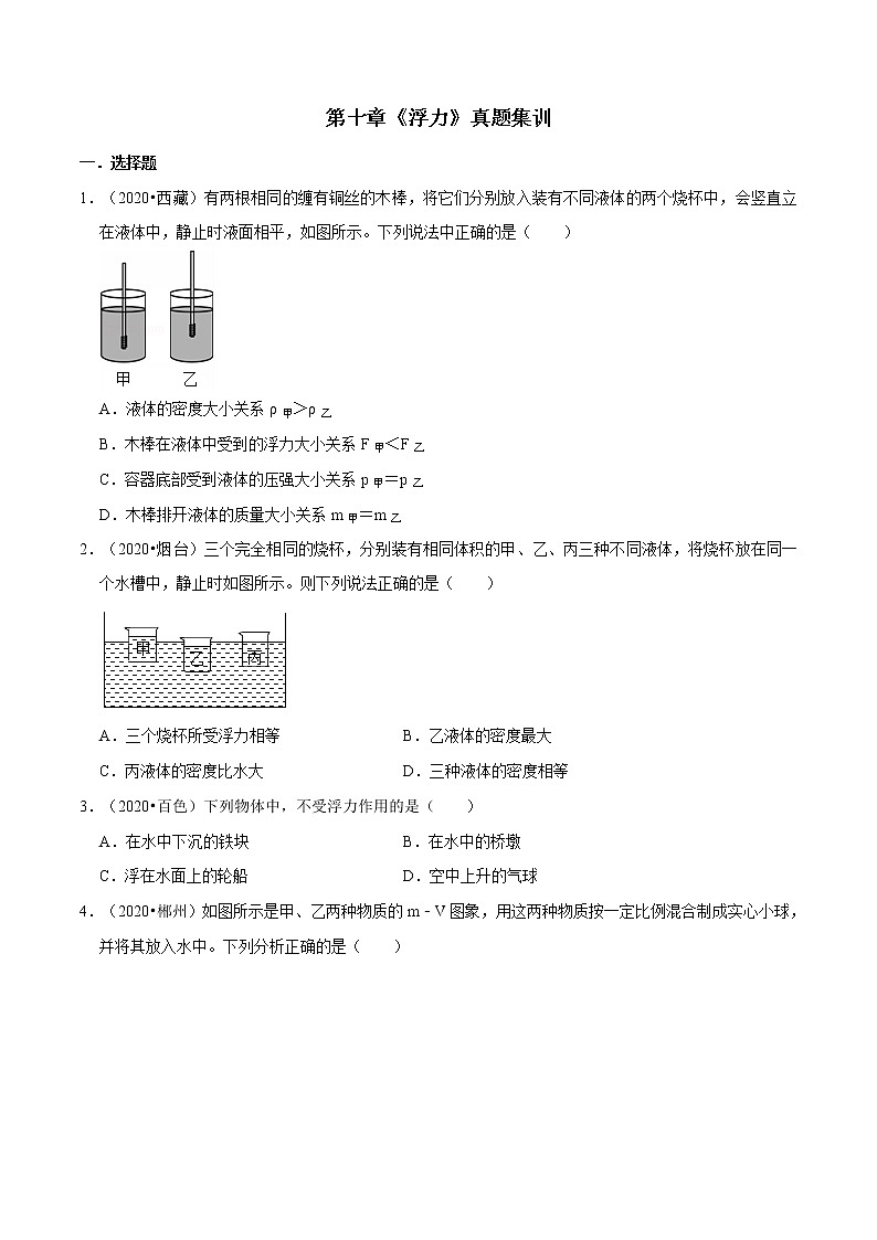 第十章 （真题集训）浮力（原卷版）第1页