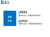 6-3弹力与弹簧测力计课件2021-2022学年沪科版物理八年级全一册