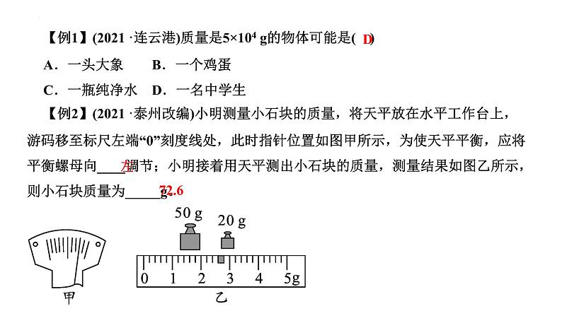 2022年中考物理专题复习课件质量与密度第3页