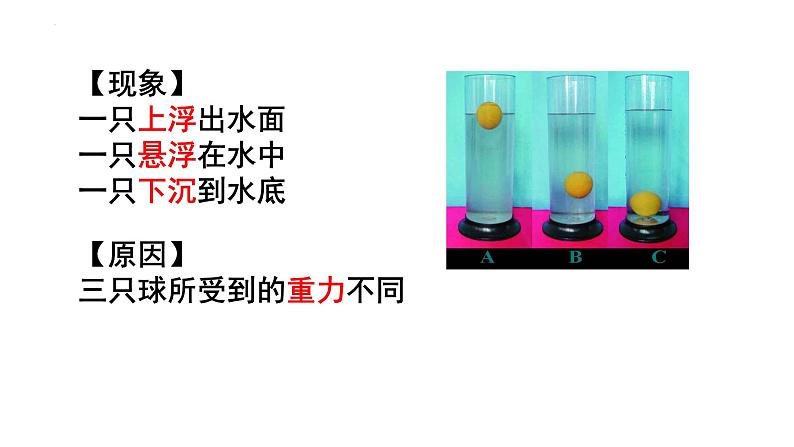 第九章第三节物体的浮与沉第1课时物体的浮沉条件课件2021-2022学年沪科版八年级全一册物理第3页