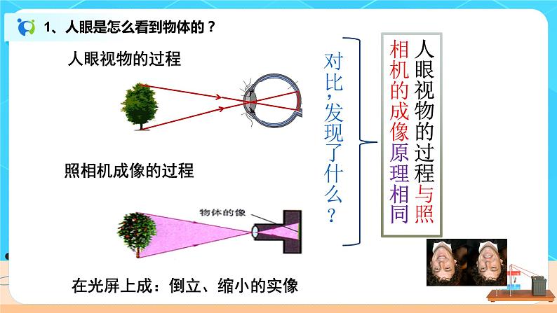 5.4《眼睛和眼镜》-课件第6页