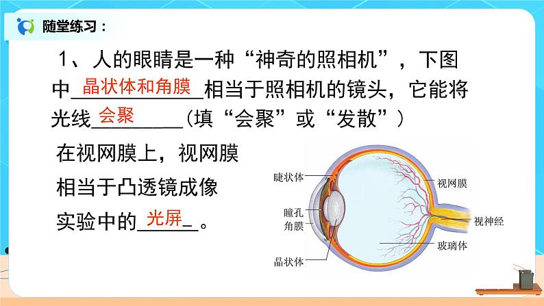 5.4《眼睛和眼镜》-课件第7页