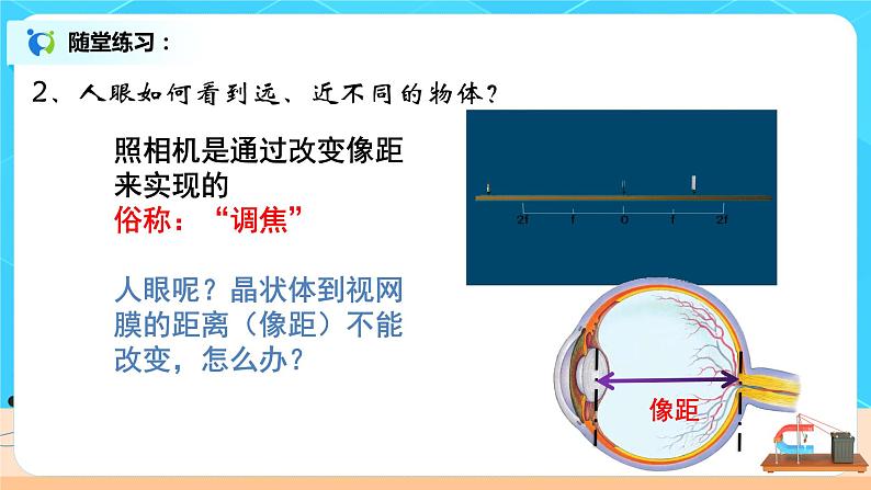 5.4《眼睛和眼镜》-课件第8页