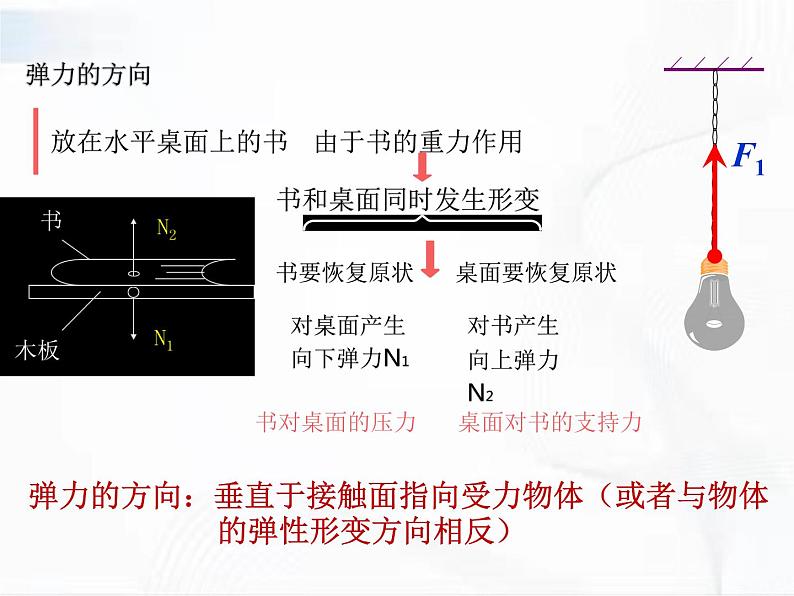 人教版八年级物理下册 7.2弹力 同步课件第6页