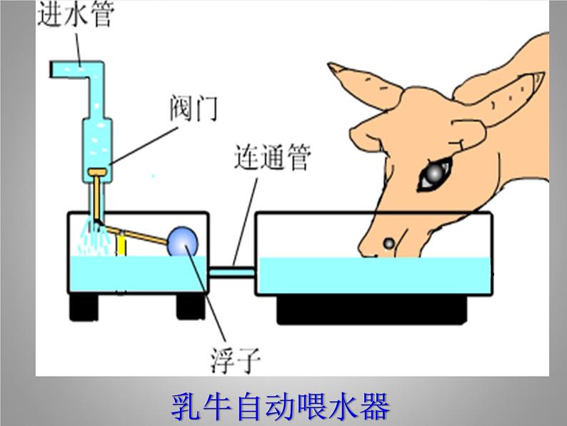 北师大版物理八下8.3《连通器》课件08