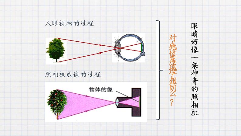 6.4眼睛和眼镜-课件第5页