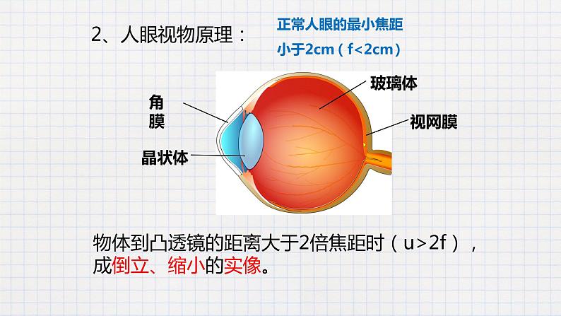 6.4眼睛和眼镜-课件第6页