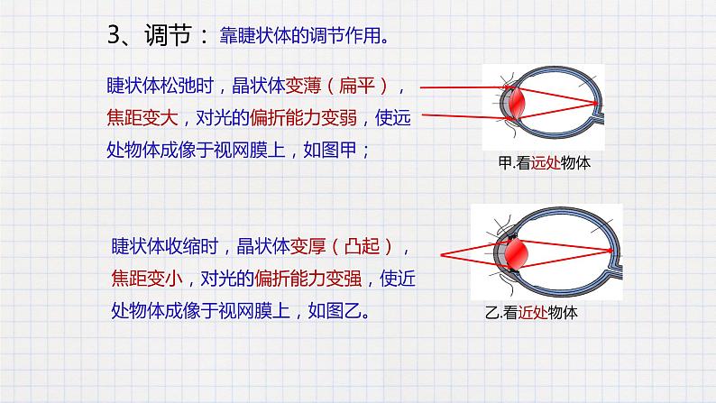 6.4眼睛和眼镜-课件第8页