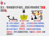 10.1机械能（课件+教案+练习+学案）