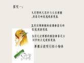 11.3电荷（课件+教学设计+练习+学案）
