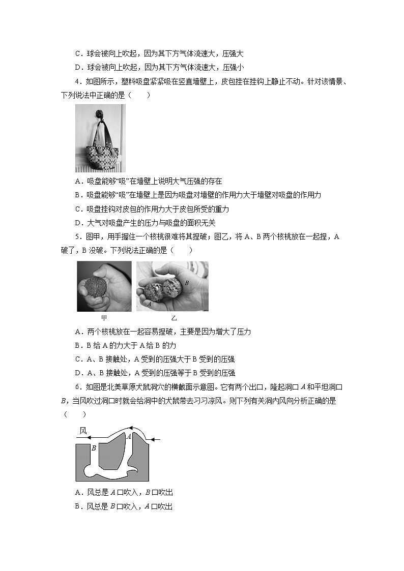 2022年中考物理一轮复习能力提升练习：压强第2页