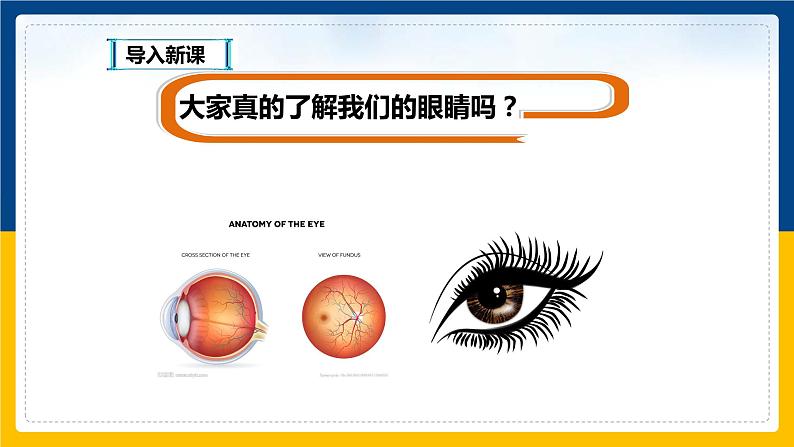 3.7眼睛与光学仪器（课件+教案+练习+学案）03