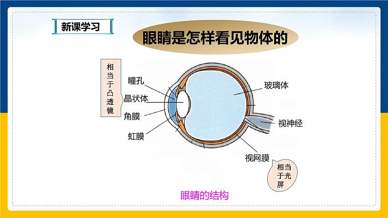 3.7眼睛与光学仪器（课件+教案+练习+学案）05