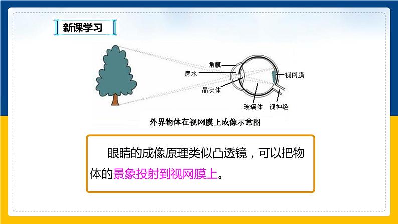 3.7眼睛与光学仪器（课件+教案+练习+学案）06