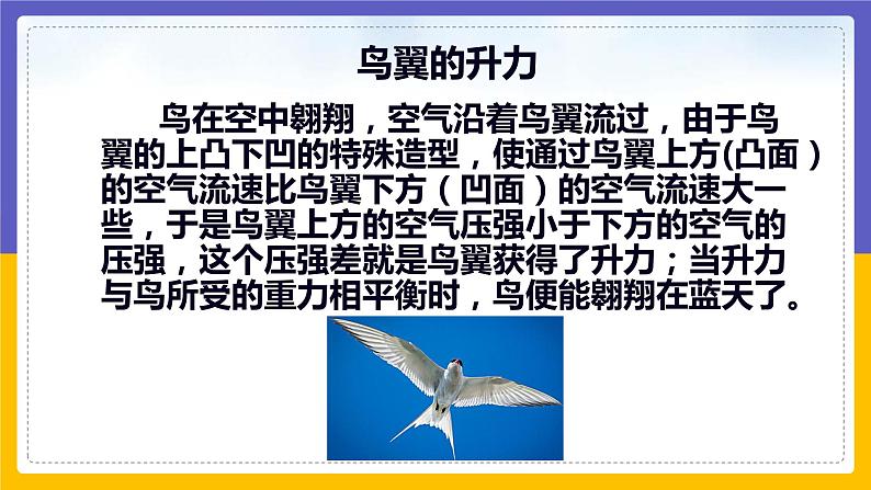 10.1 在流体中运动（课件+教案+练习+学案）08