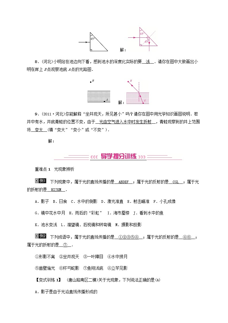 中考物理一轮复习第2讲《光现象》检测卷 (含答案)03