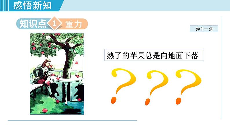 人教版八年级下册物理7.3重力课件PPT第6页