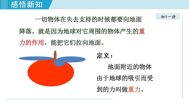 人教版八年级下册物理7.3重力课件PPT第8页