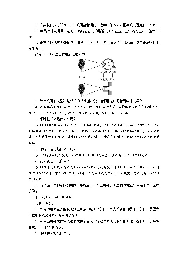 6.4眼睛和眼镜-教案第2页