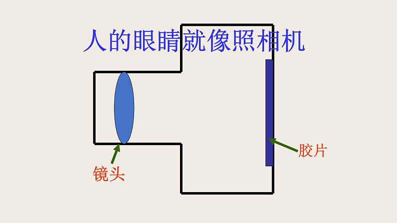 6.4眼睛和眼镜-课件第5页
