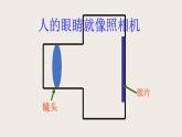 6.4眼睛和眼镜（课件+教案+练习+学案）