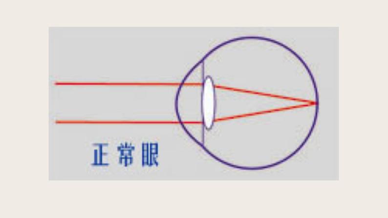 6.4眼睛和眼镜-课件第8页