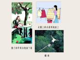 7.3重力（课件+教案+练习+学案）