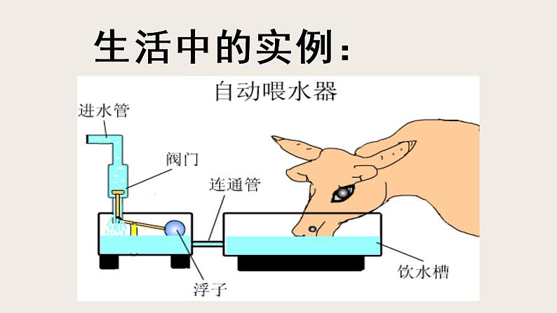 8.3连通器-课件第8页