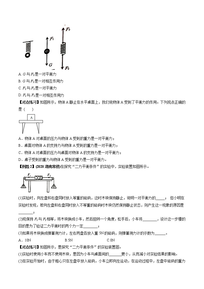 2021年中考物理微专题复习 专题07  二力平衡及其实验中考问题（学生版）第2页
