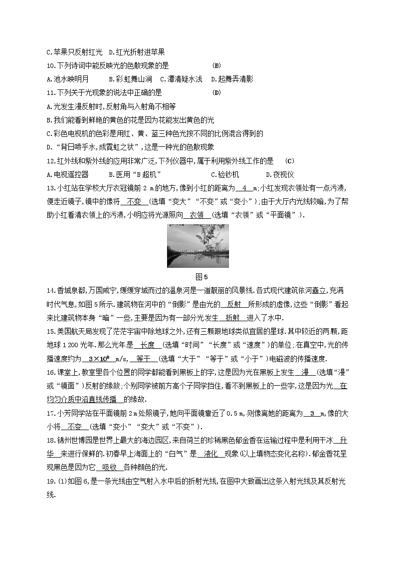中考物理一轮复习第04章《光现象》复习测试 (含答案)第3页