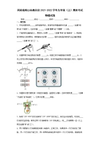 河南省周口市鹿邑县2021-2022学年九年级（上）期末考试物理试题（word版含答案）