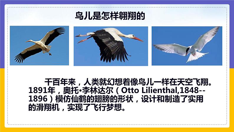 10.1 在流体中运动（课件+教案+练习+学案）05