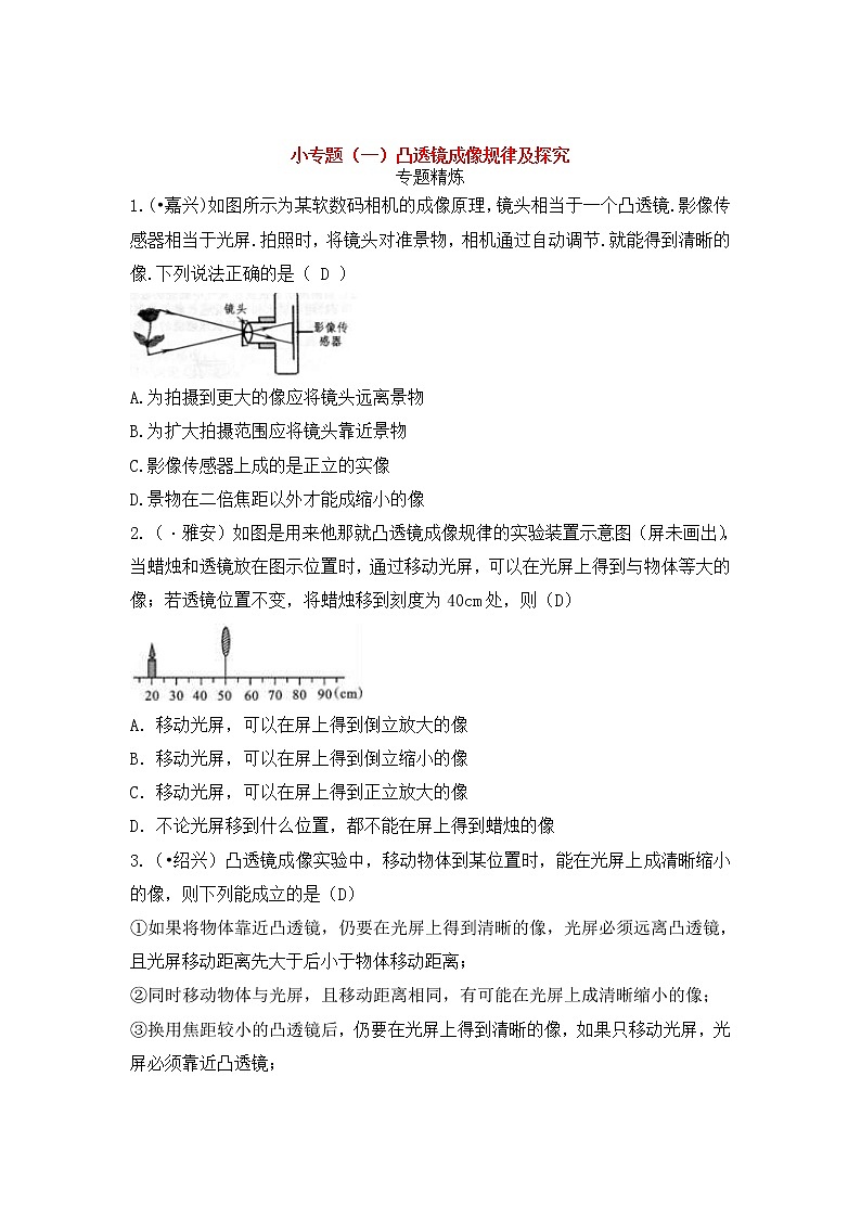 中考物理一轮复习小专题（一）凸透镜成像规律及探究（含答案）01