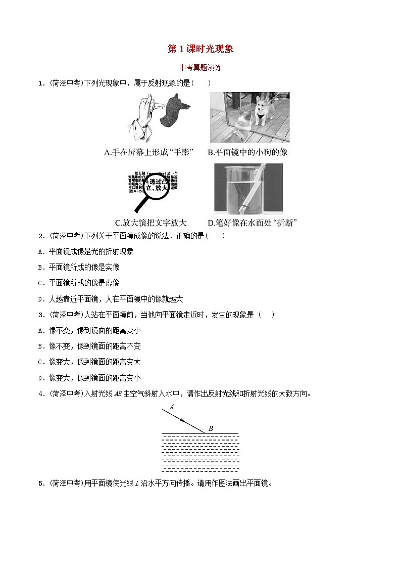 中考物理一轮复习03《在光的世界里第1课时光现象》中考真题演练（含答案）01