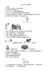 中考物理一轮复习第2讲《声的世界》同步精练（含答案）