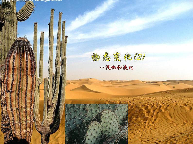 人教版8年级上册第三章 物态变化 第三节汽化和液化课件共21张PPT01