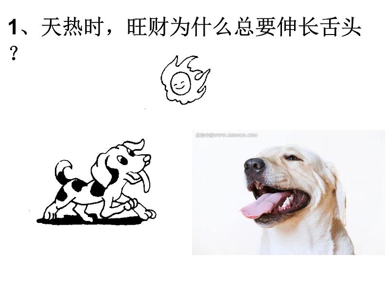 人教版8年级上册第三章 物态变化 第三节汽化和液化课件共21张PPT05