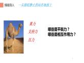 8.2 二力平衡 课件-2021-2022学年人教版物理八年级下册