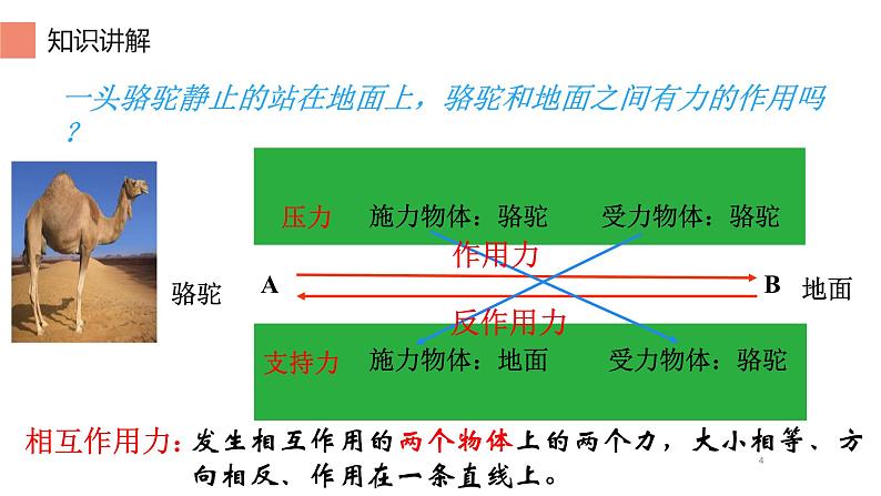 8.2 二力平衡 课件-2021-2022学年人教版物理八年级下册第4页