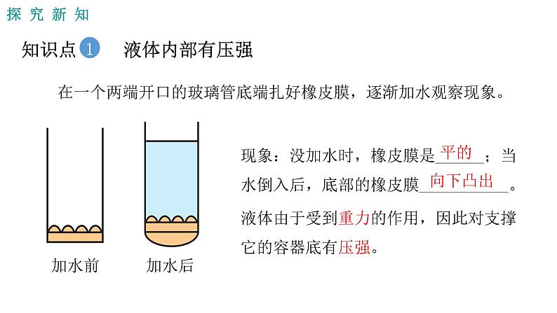 人教版八年级物理下册----9.2.1液体的压强  课件+ 素材05