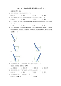 2022年上海市中考物理专题练2-声和光