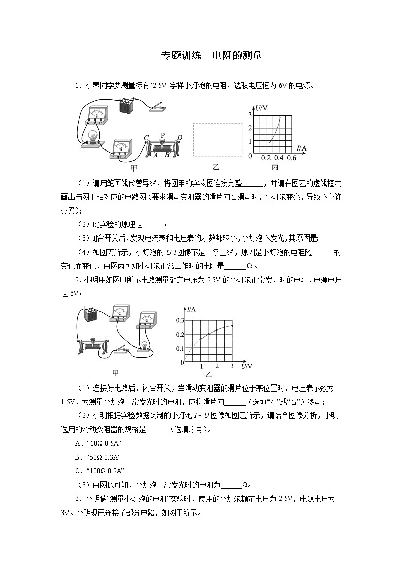 2022年中考物理二轮复习重点专题训练+电阻的测量第1页
