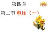 教科版九年级物理上册 4.2 电压：电流产生的原因（课件）