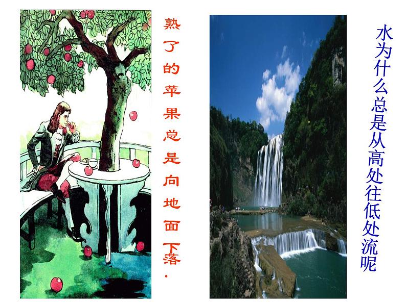 教科版物理八年级下册 7.4 重力（课件）第5页