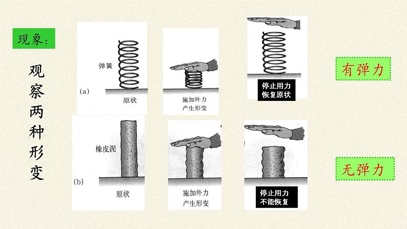 教科版物理八年级下册 7.3 弹力  弹簧测力计(1)（课件）第3页