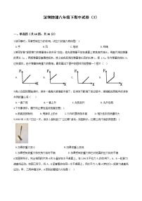 八年级物理下学期期中测试卷03（深圳专用）(新题型，满分70分)