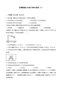 八年级物理下学期期中测试卷01（深圳专用）(新题型，满分70分)